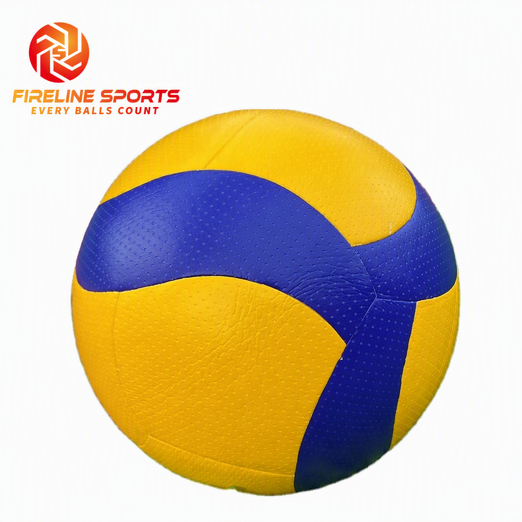 Volleyball — Blue/White/Yellow