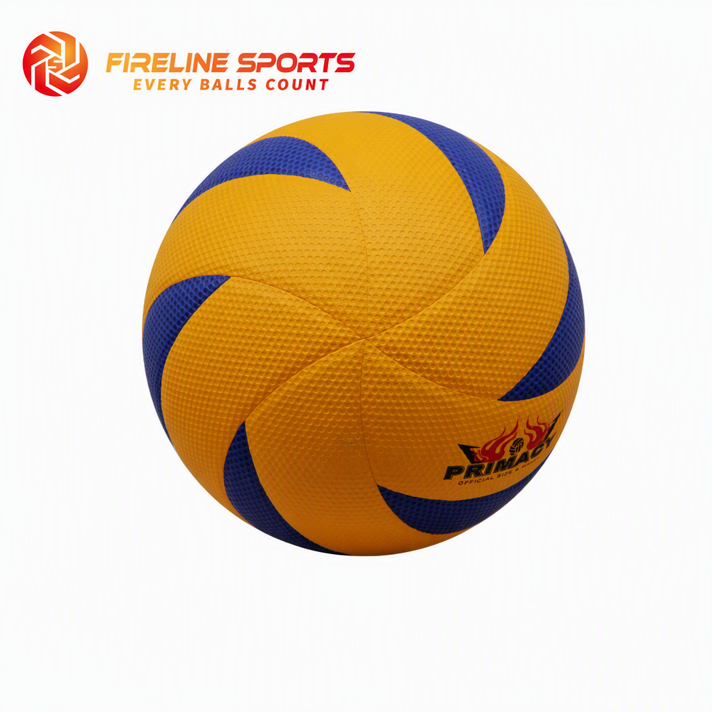 Volleyball — Dual Color Blue/Yellow